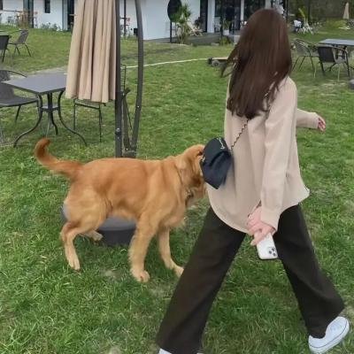 青瓷团圆特别篇